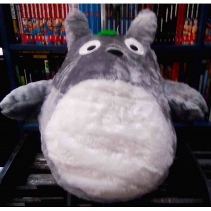 Totoro chico